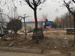 -中环花鸟鱼虫市场
