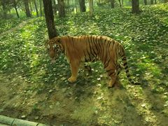 -北京野生动物园