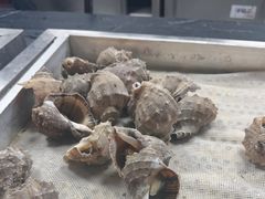 -福禧荟·海鲜自助