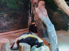 -正佳雨林生态植物园