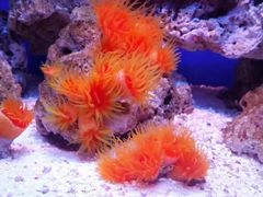 -水上乐园·欢乐世界