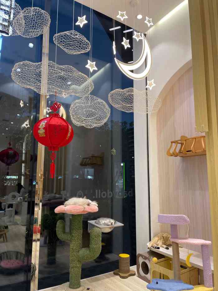 babydoll猫舍工作室来福士店