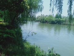 -白塔湖国家湿地公园