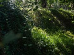 -黄村公园