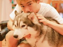 -more than meow吴止猫主题餐厅(承德 中船汇店)