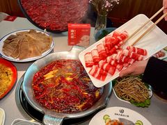 -渝大龙重庆火锅(温泉月亮湾店)