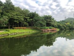 -深圳国际园林花卉博览园