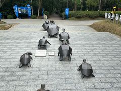 -广东惠东海龟国家级自然保护区