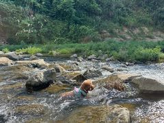 -安吉龙王山峡谷漂流