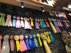 -猫小院猫主题咖啡厅(北锣店)