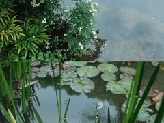 -杭州植物园