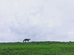 -大理洱海