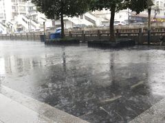 -无锡动物园·太湖欢乐园