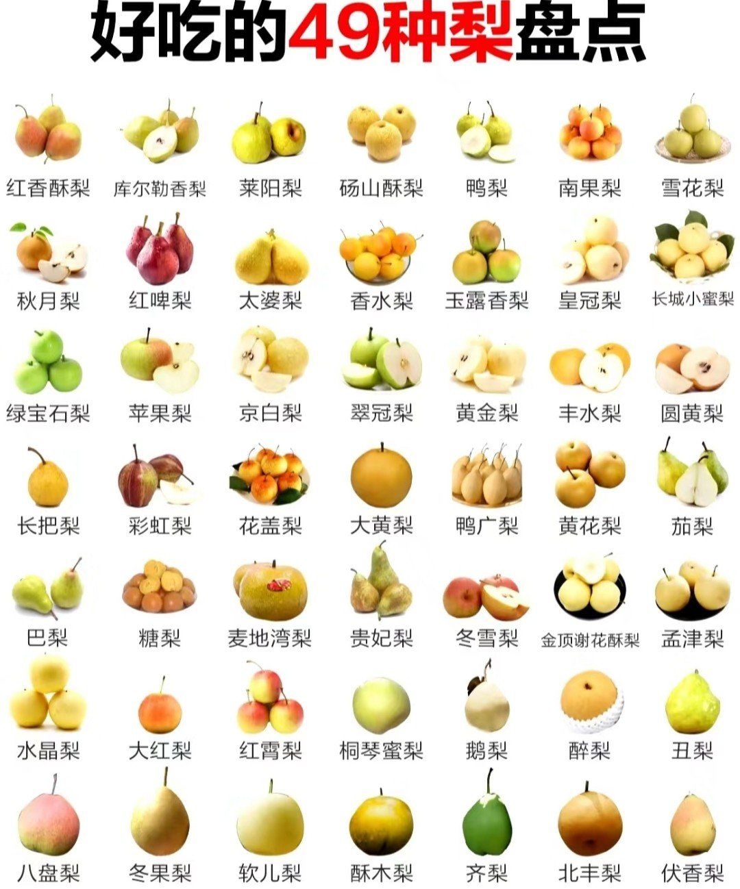 十大水果相关图片2