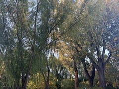 -小土豆北方菜馆(文慧园店)