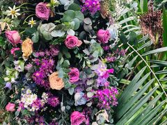 -呀路古热带植物园