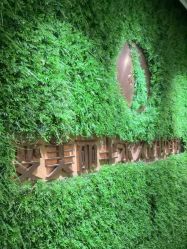 -变美丽半永久纹眉连锁·机器野生眉•洗眉