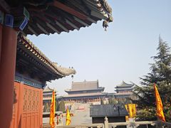 -大槐树寻根祭祖园