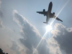 -空港花田景区