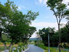 -西涌国际滨海旅游区