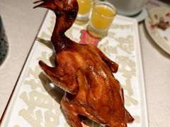 -大鸽饭(岗顶店)