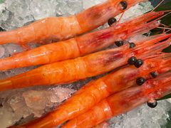 -沼津港精致料理·寿喜烧·烧鸟(龙湖南桥天街日料榜单店)