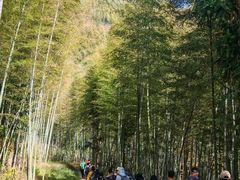 -塔川景区
