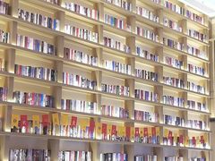 -深影国际影城(学院南路店CGS中国巨幕店)