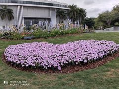 -深圳国际园林花卉博览园