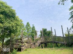 -田园东方蜜桃村的田野营地