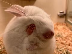 -龙猫仔乐园(惠福东路店)