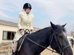 -北京群众马术培训基地