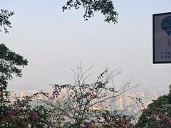 -广州市白云山风景名胜区
