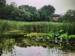 -云岗森林公园
