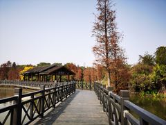 -海珠湖公园