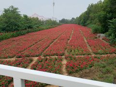 -渔岛海洋度假区