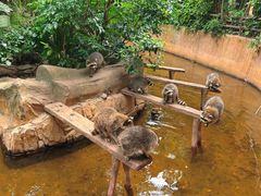 -长鹿旅游休博园
