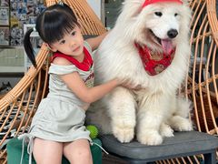 -星多哈·狗咖·拼豆·咖啡