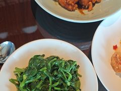 五粮酒香炒豆苗尖-环球港凯悦 · 享悦中餐厅