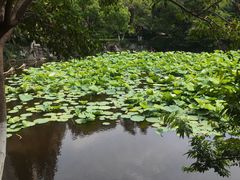 -郑和公园