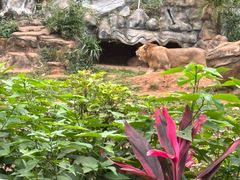 -海南热带野生动植物园