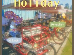 -春花秋色城市公园