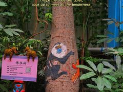 -呀路古热带植物园