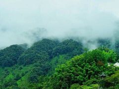 -祁门牯牛降观音堂风景区