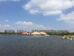 -上海长兴岛郊野公园