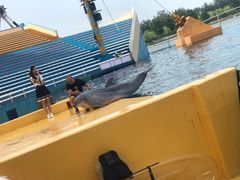 -秦皇岛乐岛海洋王国