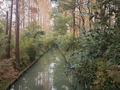 -同里国家湿地公园