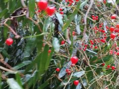 -敬亭山风景名胜区