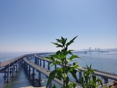 -星海湾跨海大桥