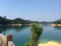 -广州市流溪河国家森林公园